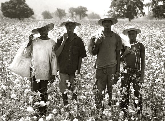 Cotton made in Africa by Albert Watson
