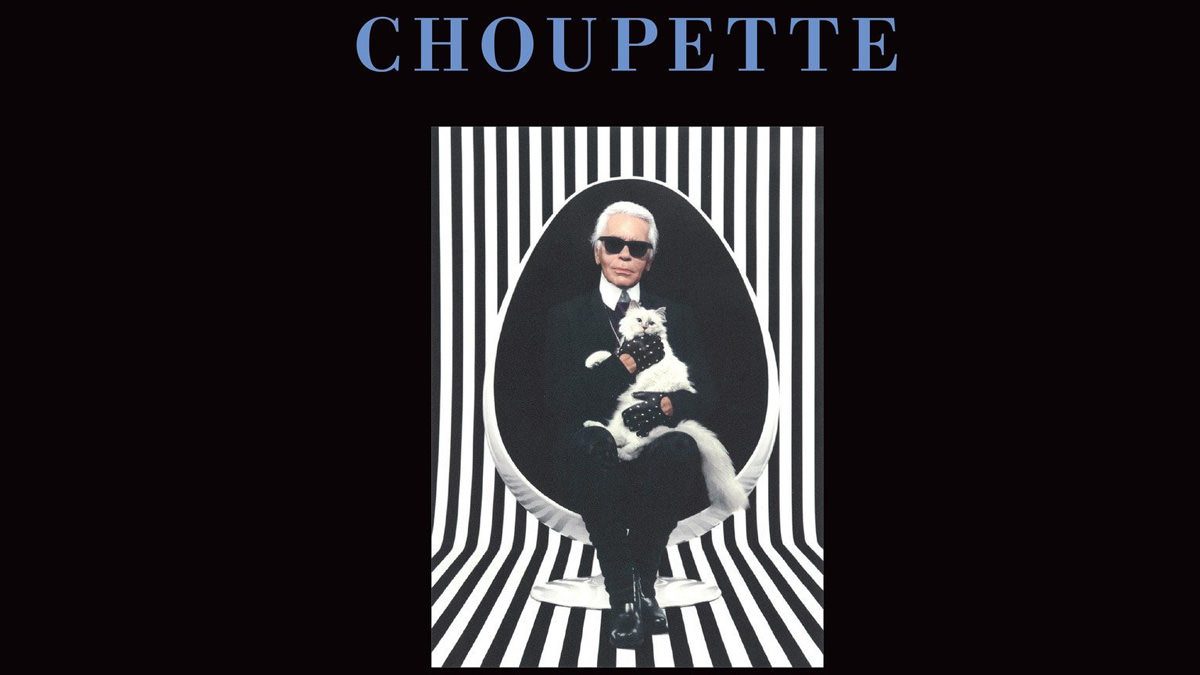 Choupette - The Private Life of a High-Flying Cat