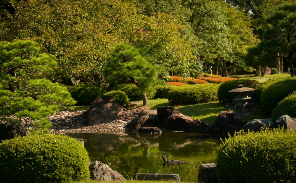 a small pond surrounded by rocks and trees