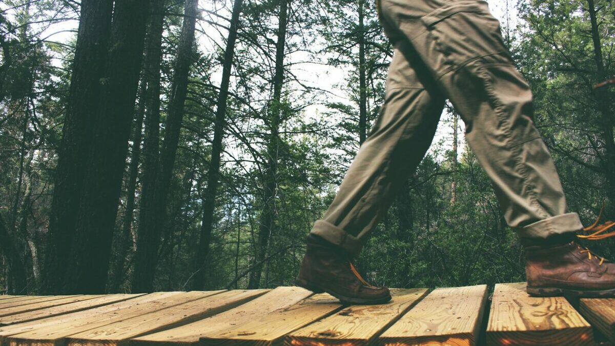 person walking on brown wooden bridge