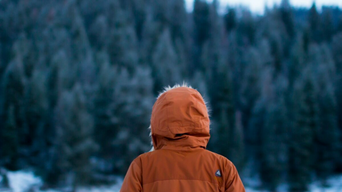 shallow focus photography of person facing trees